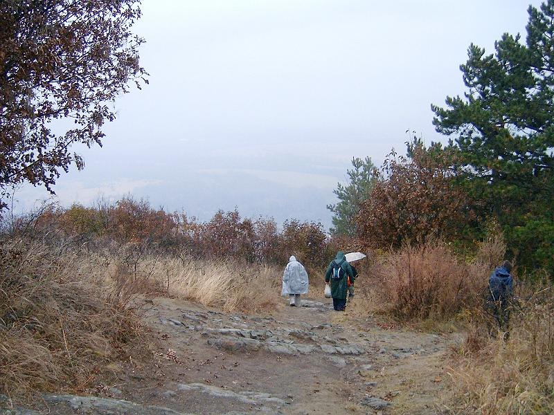 20111210 093.jpg